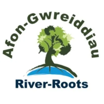 Afon Gwreiddiau - (River Roots)