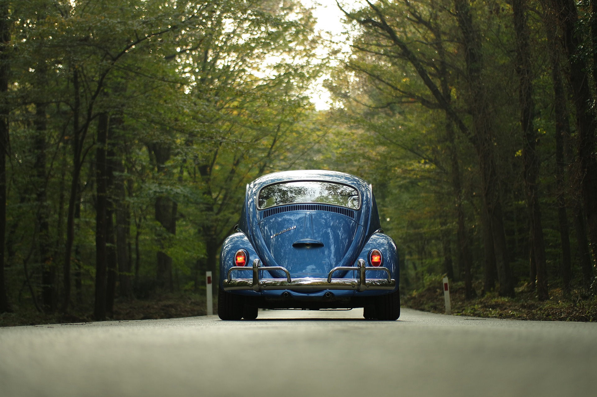 Blue vintage car on a deserted forest road. The car is centred with tall, lush trees lining both sides, conveying a peaceful, nostalgic atmosphere.